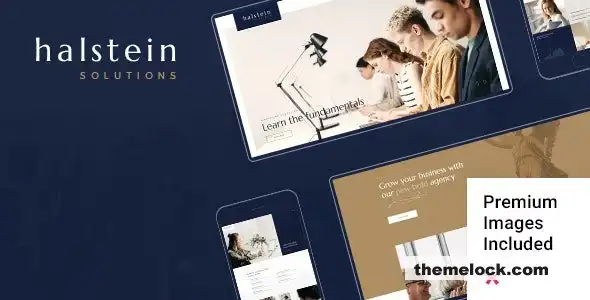 Halstein v1.7 商业咨询软件综合评估与性能分析