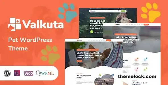 Valkuta v1 2 4 宠物 WordPress 主题深度评测及性能分析（适用于宠物护理网站）