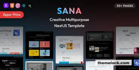 Sana NextJS创意多用途模板评测：功能、性能和自定义选项的全面分析