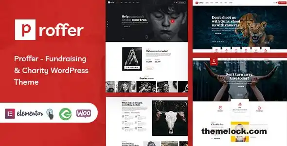 Proffer v106 筹款和慈善 WordPress 主题功能及性能全面评测