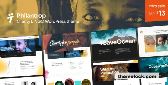 Philantrop v1.1 慈善和非营利组织 WordPress 主题功能、性能和易用性全面评测