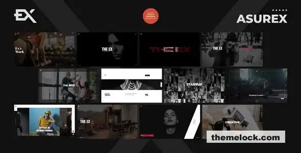 Asurex模板：对其功能和性能的全面评估