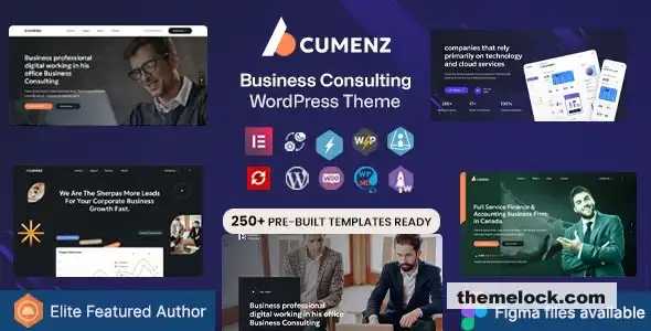 Acumenz v1.0.2 全面评测：一款面向现代企业的商业和咨询类 WordPress Elementor 主题