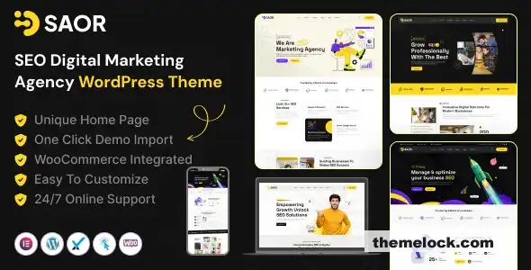 Saor v1.0.0 SEO 数字营销机构 WordPress 主题功能及性能分析全面评测