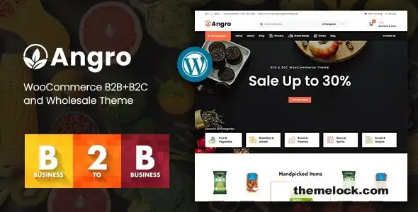 对 Angro v1 6 1 WooCommerce B2B 和批发主题功能、性能和可用性的全面评估