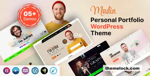 Madin v1.0.0 个人作品集 WordPress 主题功能、性能和自定义选项全面评测